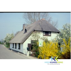 Aerdt Aerdtsedijk Schreven - Delahey Coll. HKR F00000247